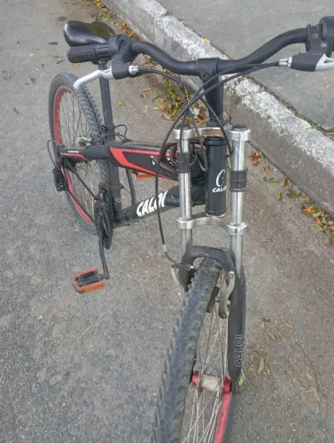 Bicicleta