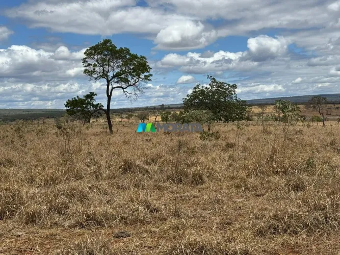 FAZENDA À VENDA - 864 HECTARES - REGIÃO DE BOCAIUVA (MG)