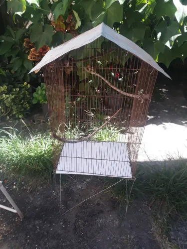 Vendo viveiro em bom estado. Barato