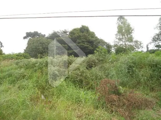 Terreno no bairro Primavera