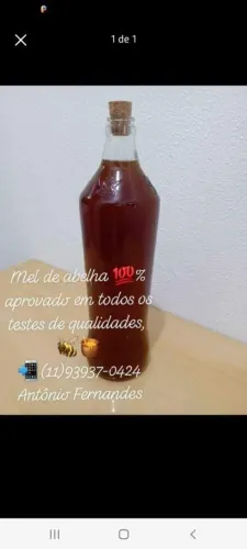 Mel de abelha florada silvestre