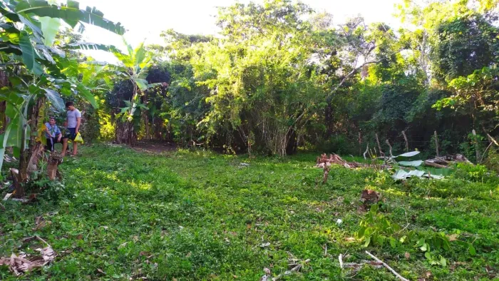 Oportunidade na Serra de Guaramiranga