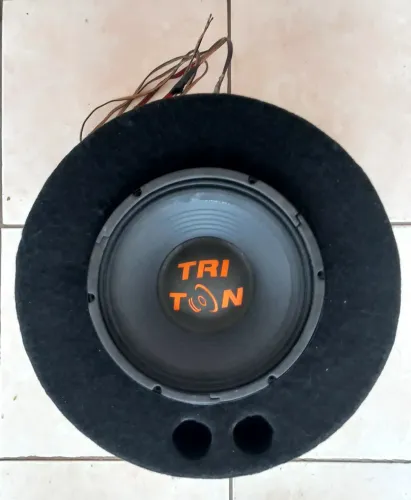 Caixa de som alto falante 10" 