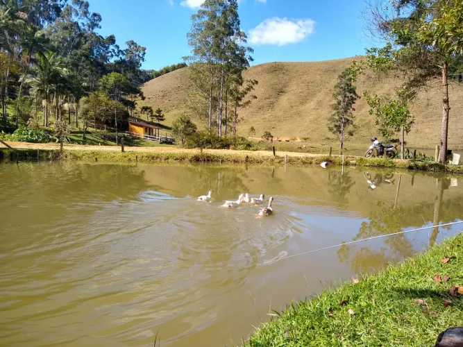 VENDO SITIO DE 10 ALQUEIRES COM REPRESA DE 25.000m EM NATIVIDADE DA SERRA(4145 )