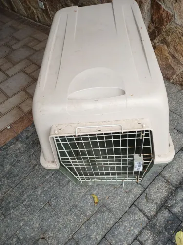 Caixa para transporte de cão de grande porte