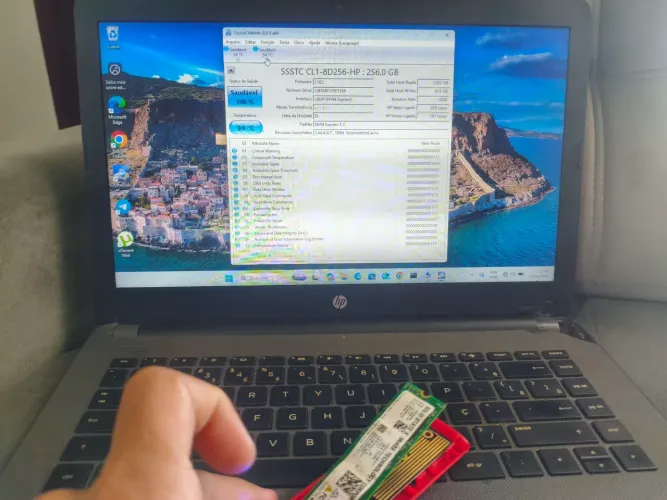 SSD NVME Hp 256 gigas+ case.