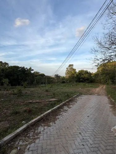 Lote Arniqueiras- ótima localização 