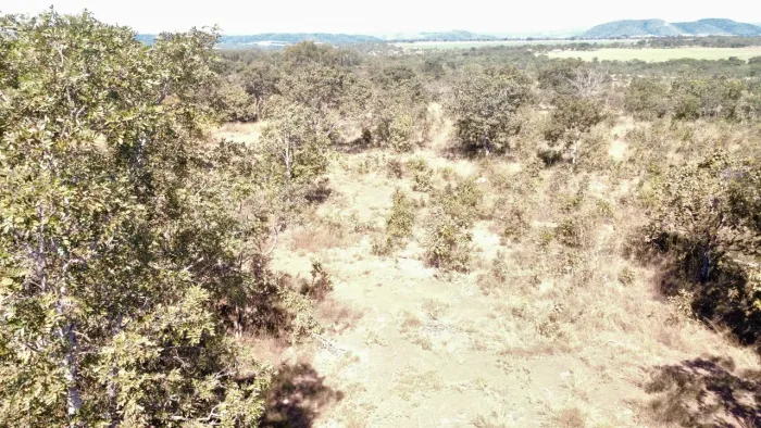 Chácaras 04 hectares valor 130.000