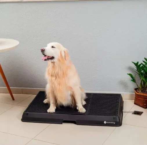 Weasy Cão | Banheiro inteligente para cachorro com Weasy Bag