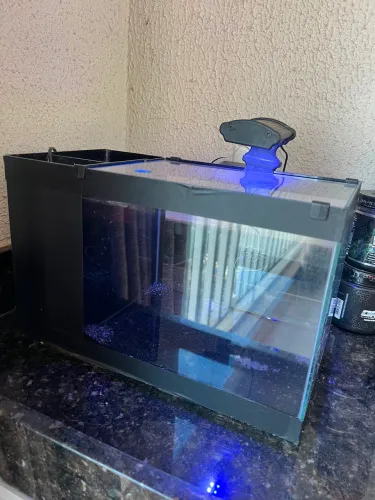 Kit meu primeiro aquário 