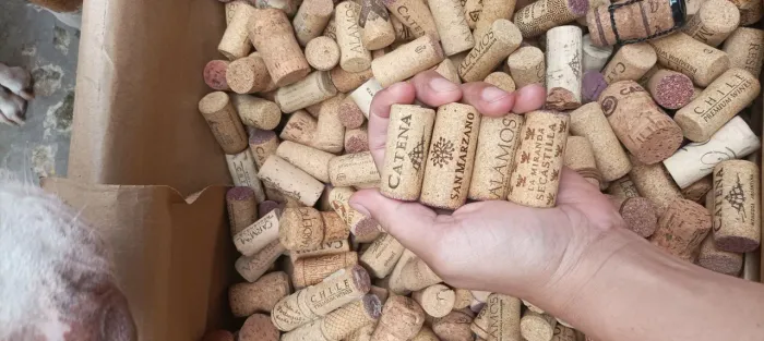 Rolhas de vinho para artesanato 
