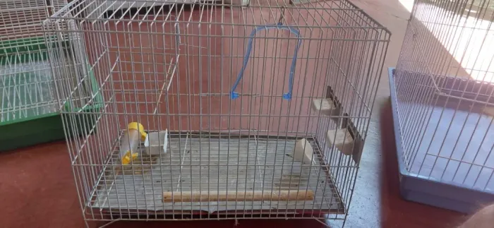 Gaiola para Pássaros