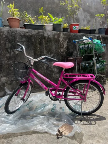 Bicicleta Aro 20