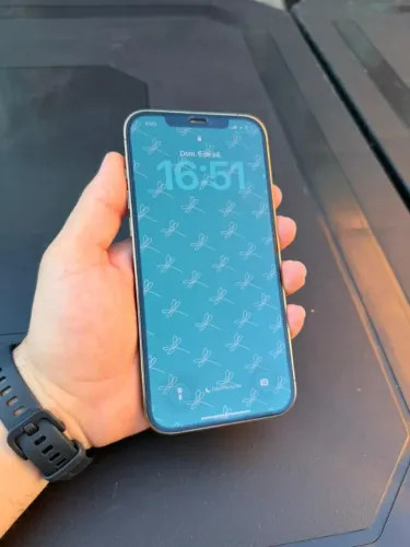 iPhone 12 Pro Max 256g