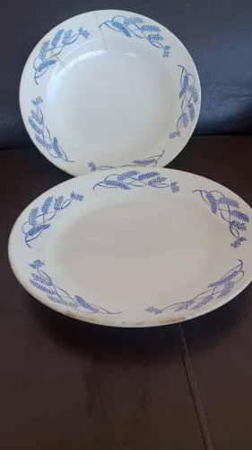Pratos antigos porcelana Porto Ferreira coleção antiguidade