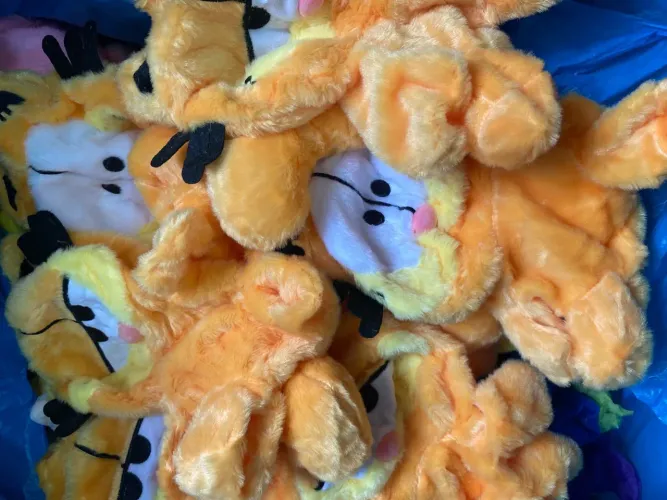 Pelucinhas