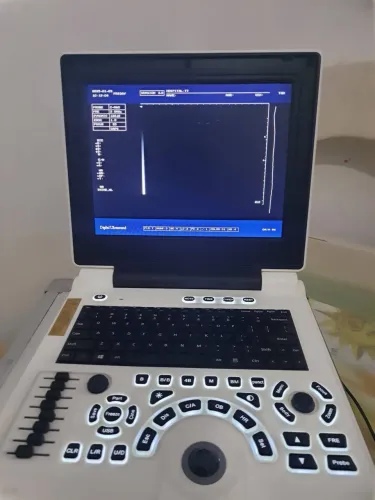 Ultrassom veterinário 
