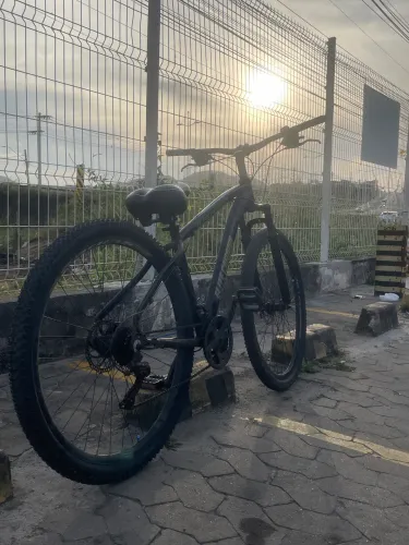 Bicicleta aro 29