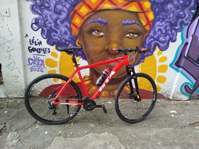 Bicicleta Aro 29