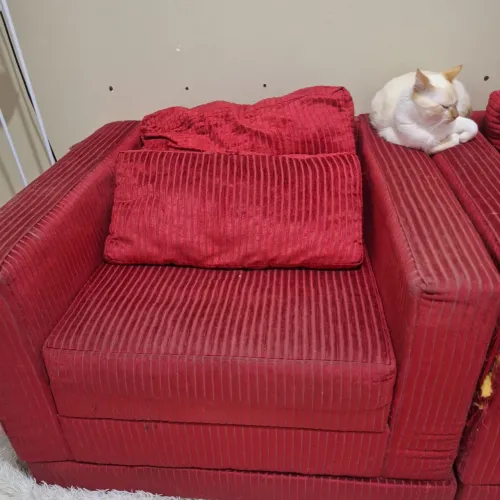 Poltronas 