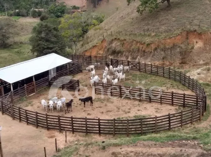 Fazenda Residencial com 30 hectares e lago para pesca em Pouso Alto - Natividade da Serra/