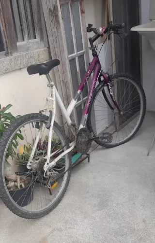 Bicicleta de marcha