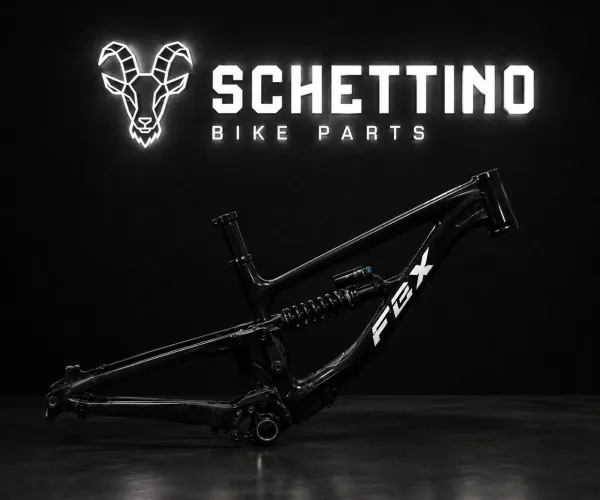 Quadro FBX de Montain Bike Downhill