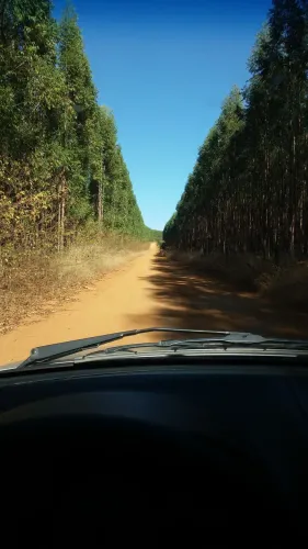 Terreno em Curvelo