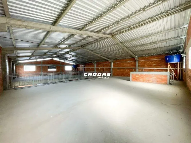 Galpão com aproximadamente 730m² para locação no bairro Itoupava Seca I Cadore Imóveis