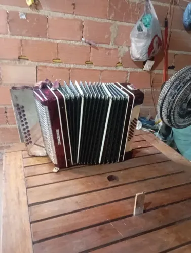 Uma gaita ponto 24 baixos ceminiva valor 7.500 e só chamar no ZAP *