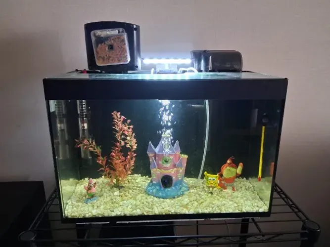 Aquario Completo (30 Litros)