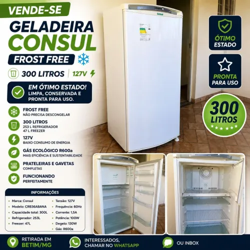 Geladeira Consul Facilite Frost Free 300 L