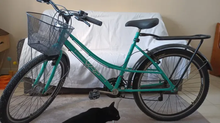 Bicicleta nova