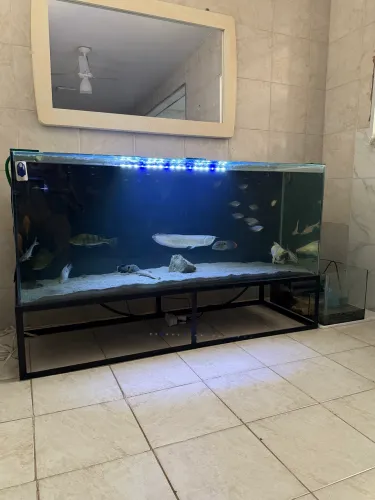 Aquário 450L com sumple 