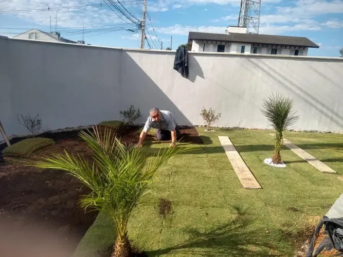 Colocação de grama 