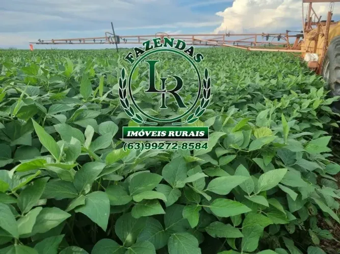 Fazenda 365 alqueires, 1.766 hectares, Área aberta: