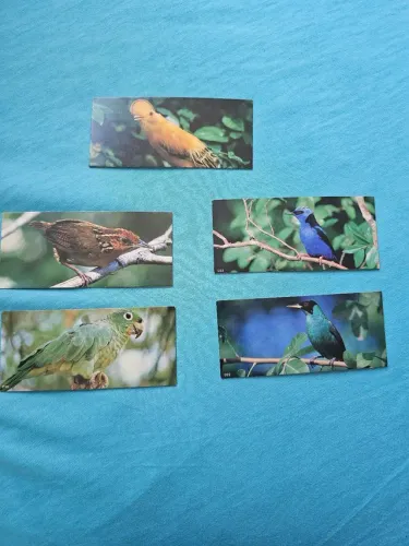 Figurinhas álbum chocolate surpresa animais da amazônica
