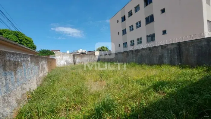 Terreno - UMUARAMA