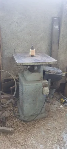 Tupia Acerbi 