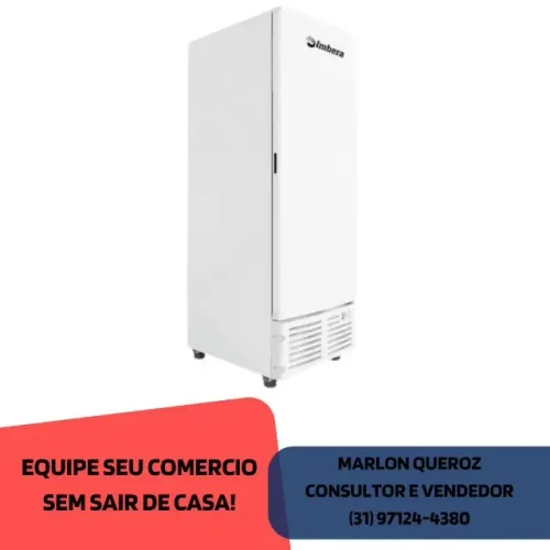 Freezer Vertical Imbera Porta Cega 127/220V 560L