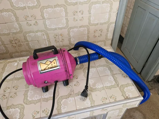 Secador de Pelos para Cães Graça Pet