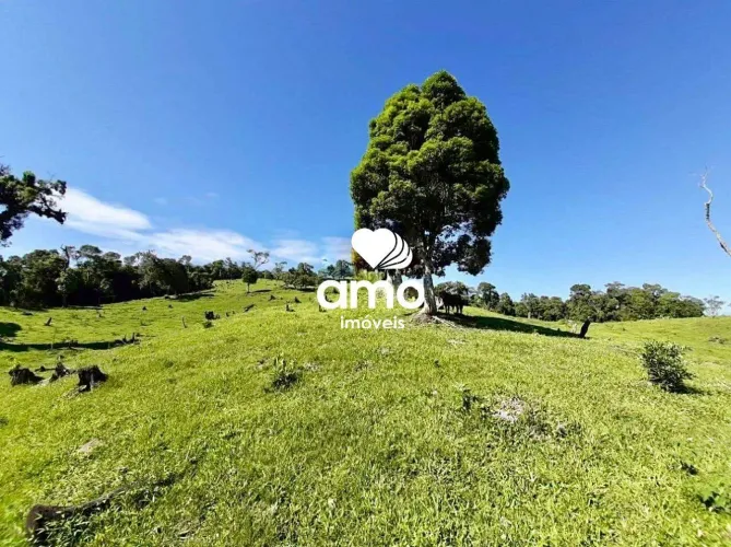Chácara / Sítio à venda, Rio das Antas - Rancho Queimado/SC