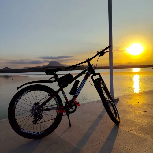 Bicicleta viking