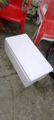 Caixa de isopor Comprimento 58 cm  Largura 41 cm Altura 17 
