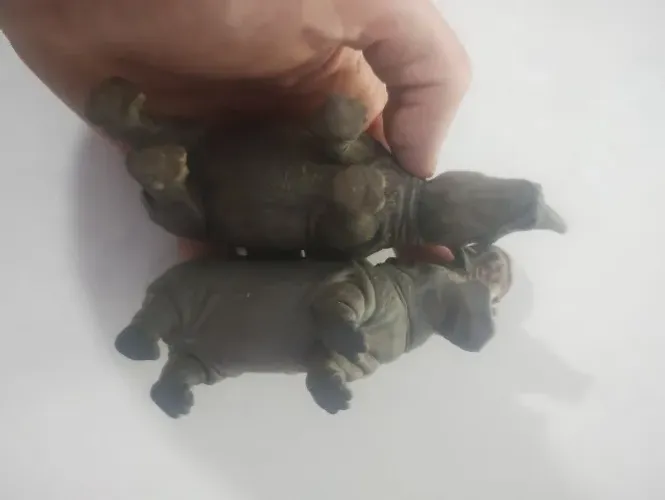 2 bichos adorno, hipopótamo + rinoceronte, importados, lindos, material ultra resistente!