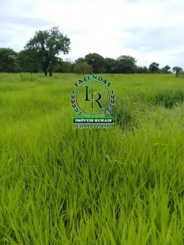 Fazenda 50 Alqueires Dupla Aptidão
