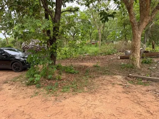 Vendo Aréa na comunidade do morrinho