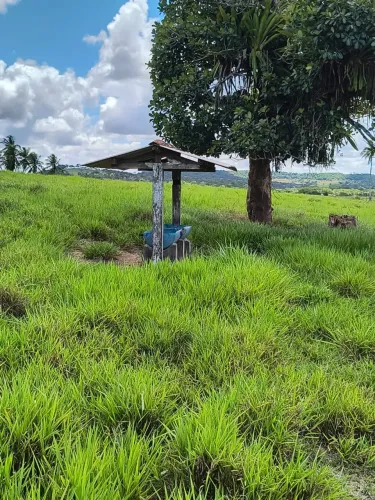 VENDO FAZENDA EM SÃO SEBASTIÃO