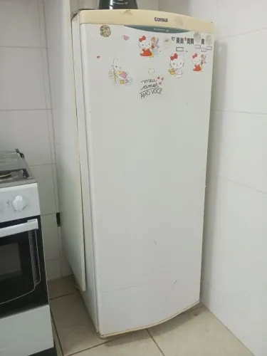 Vendo, geladeira, fogão, tanquinho e liquidificador e ring fill light