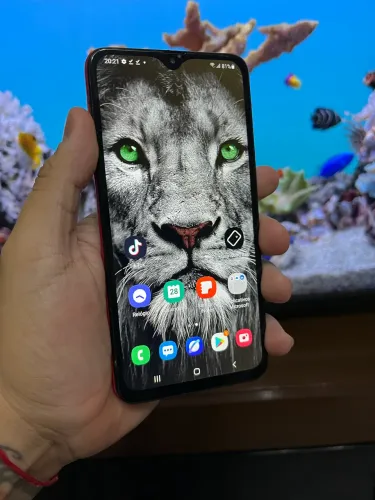 Celular barato 